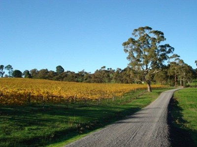 Image of road nature